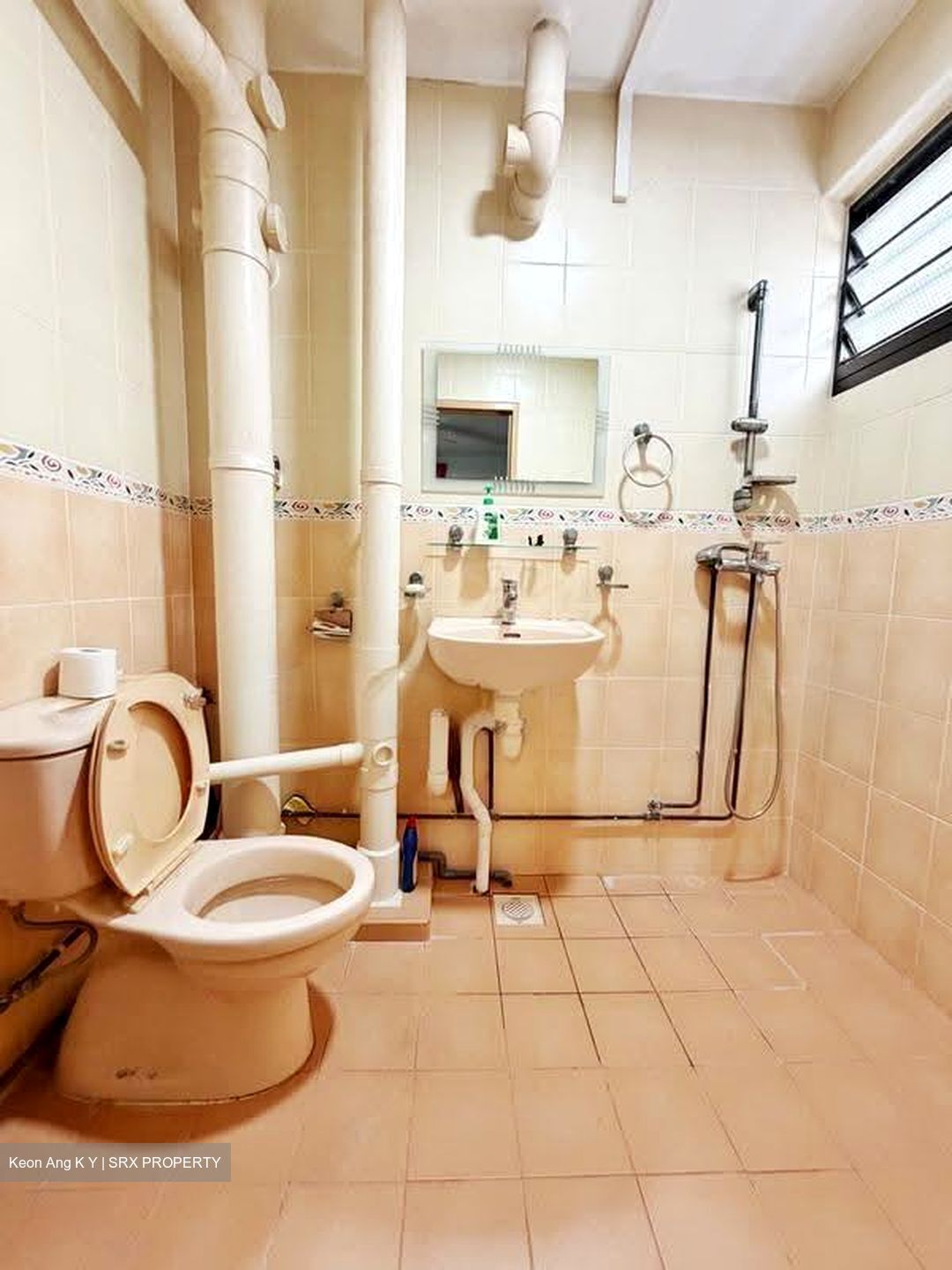 Blk 53 Geylang Bahru Riverpoint (Kallang/Whampoa), HDB 5 Rooms #635080071
